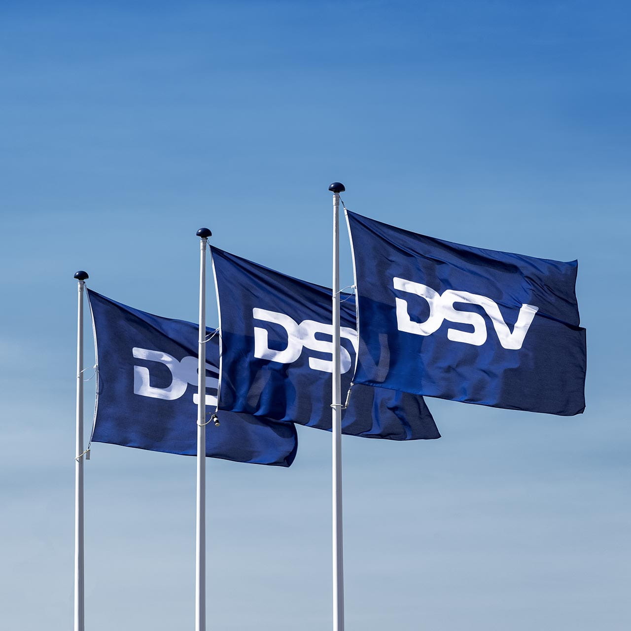 Flags with DSV logo